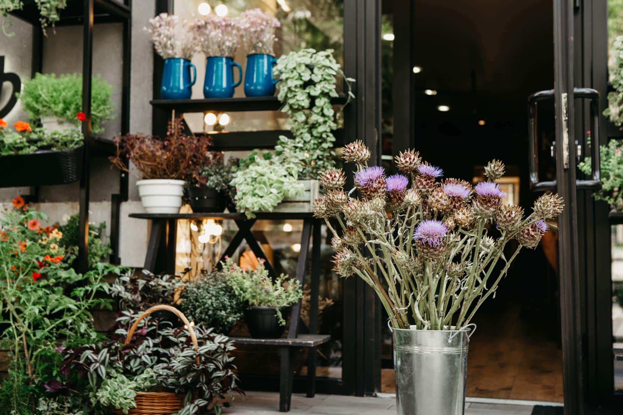 Local storefront with plants and décor showing real-world presence and credibility